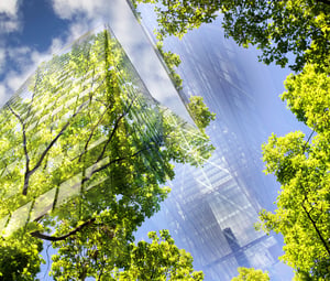 A view from below looking upwards at two light-green trees that appear to be standing inside a large glass building.