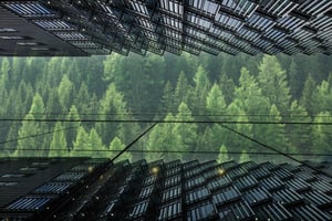 A modern building with a glass facade reflects a lush green forest. The architecture of the building and the nature blend together in the reflection, showcasing a harmonious interplay between urban design and natural surroundings.