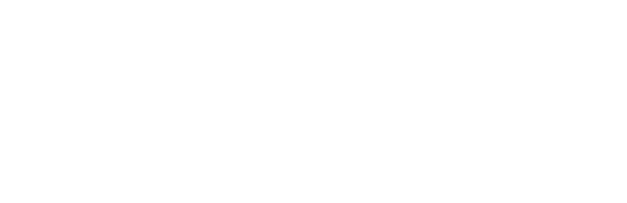 Fissler_Weißgrau