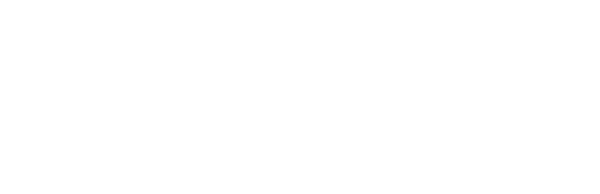 Honda_Weißgrau_WB
