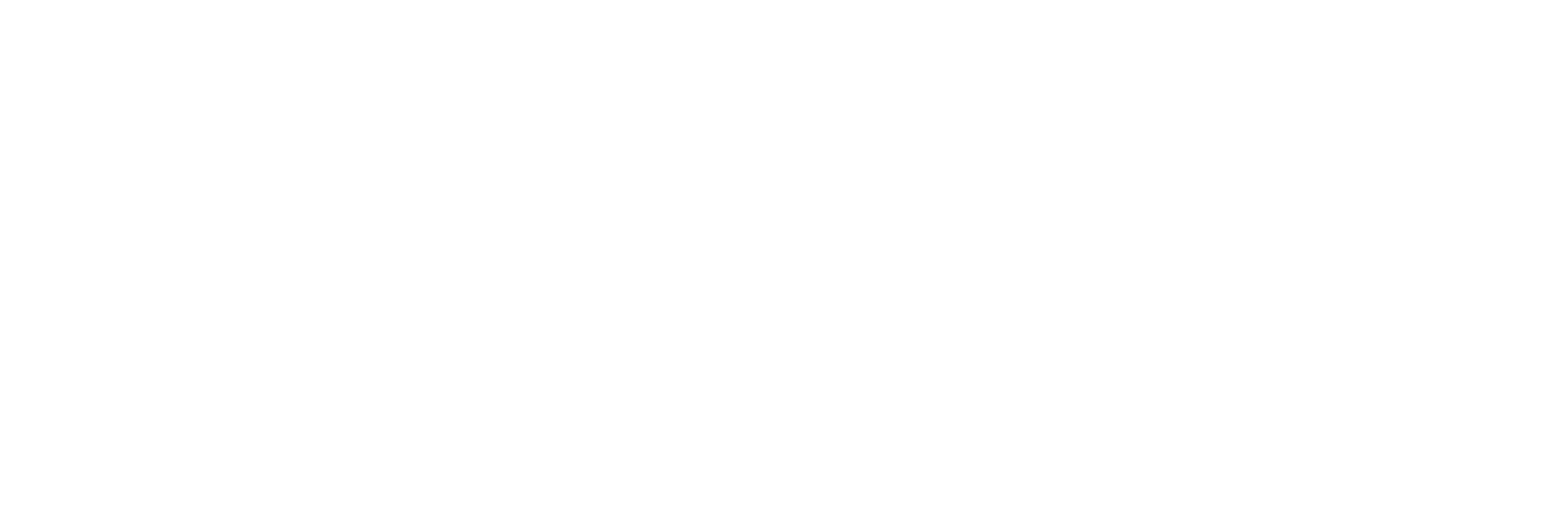 VW_Weißgrau