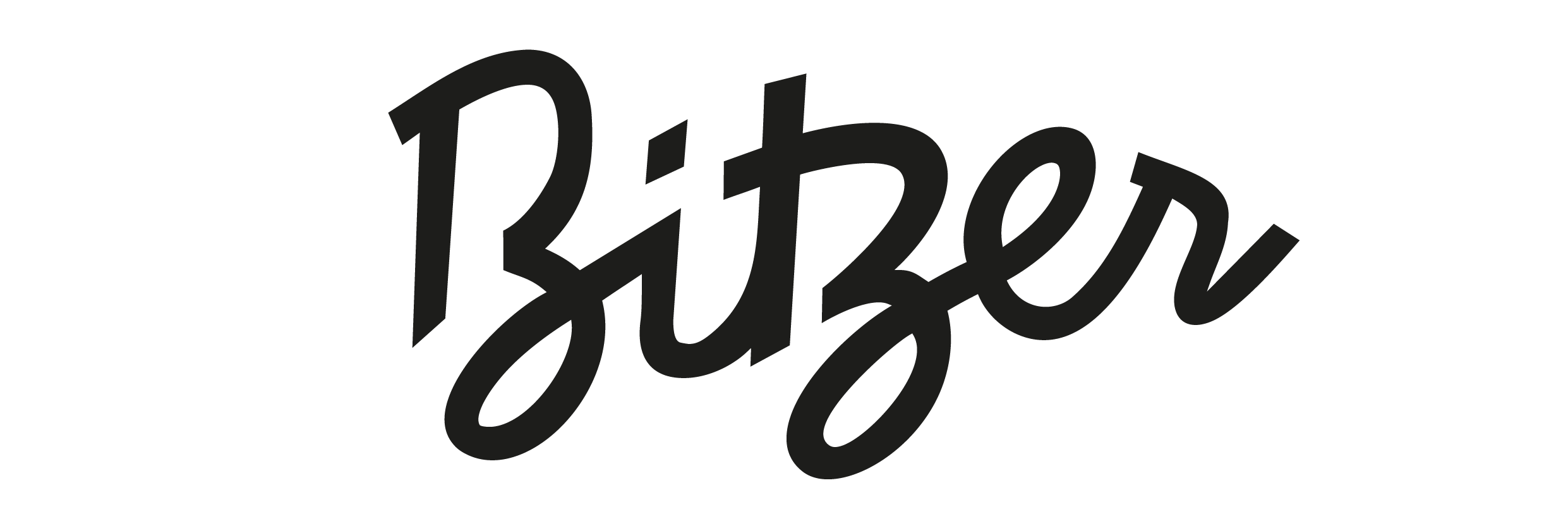 Bitzer_Logo_schwarz